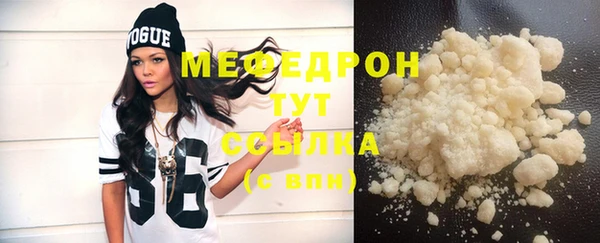 индика Ельня