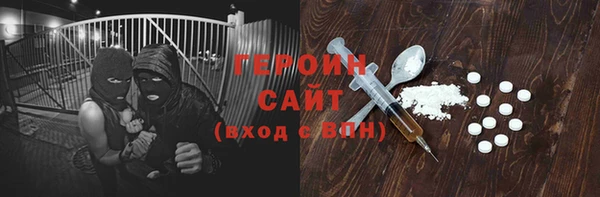 индика Ельня