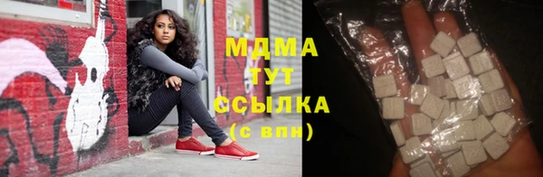 индика Ельня