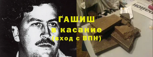 индика Ельня