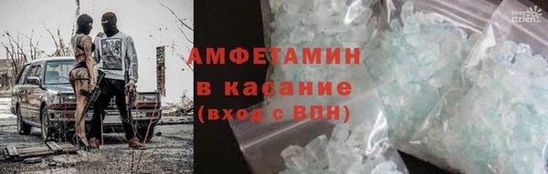 индика Ельня