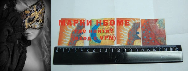 индика Ельня