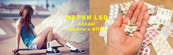 индика Ельня