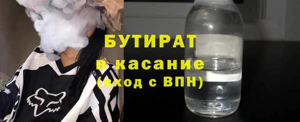 индика Ельня