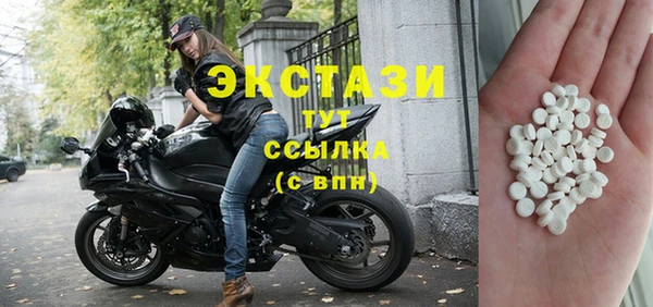 индика Ельня