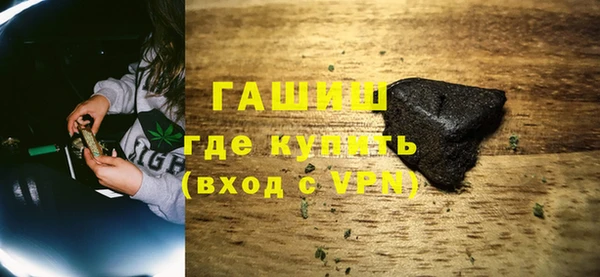 индика Ельня
