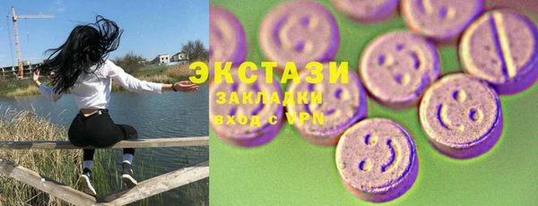 индика Ельня
