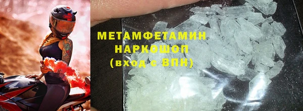 индика Ельня