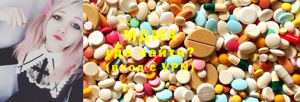 индика Ельня