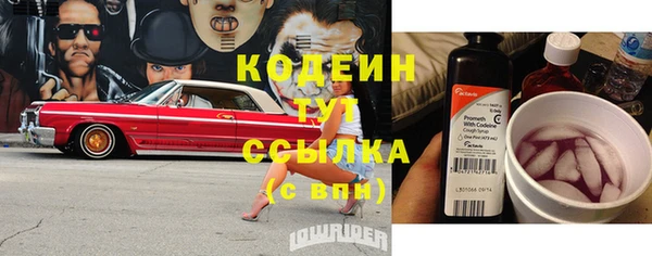индика Ельня