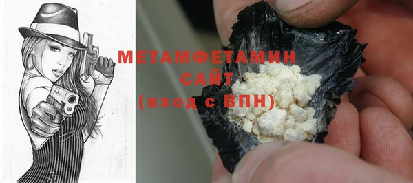 индика Ельня