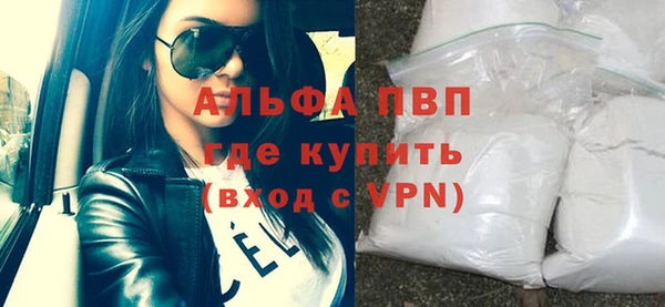 индика Ельня