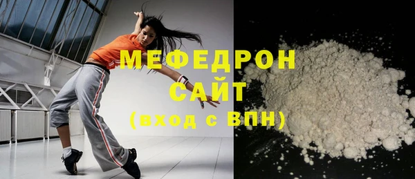 индика Ельня