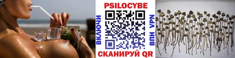 Псилоцибиновые грибы мухоморы  Купить закладки  Лаишево 